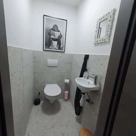 Grande Maison Proche Colmar Niederhergheim