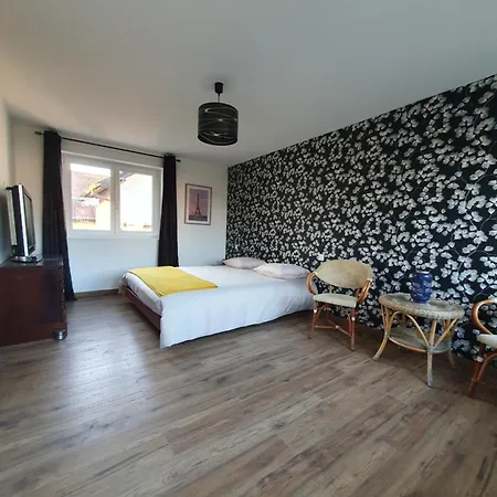 別荘 Grande Maison Proche Colmar *